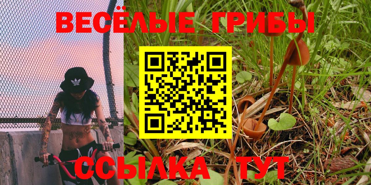 Псилоцибиновые грибы ЛСД  Вход с VPN  Люберцы 